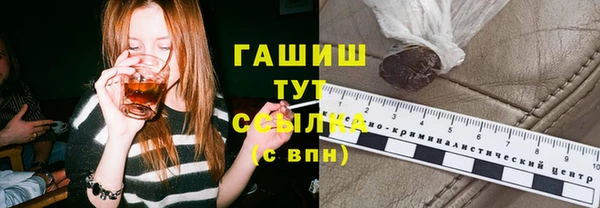 гидра Алексин