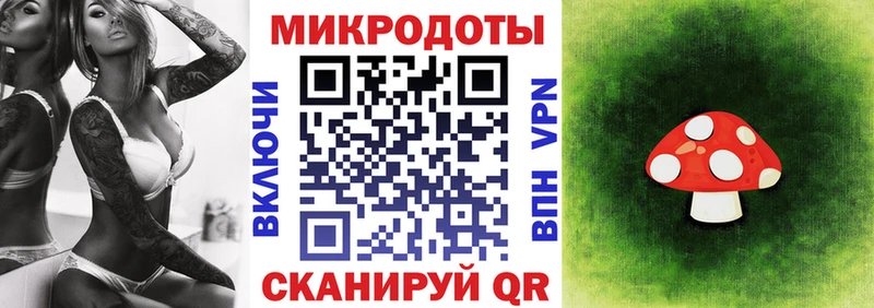 Галлюциногенные грибы Psilocybe  Цивильск 